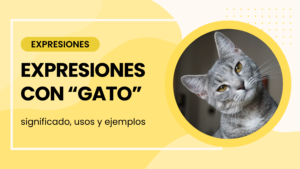 expresiones con gato