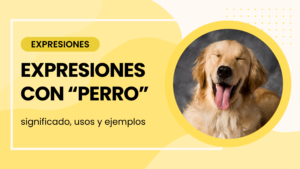expresiones con perro
