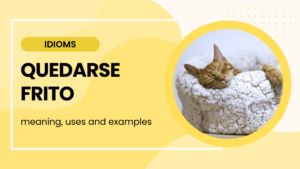 quedarse frito meaning