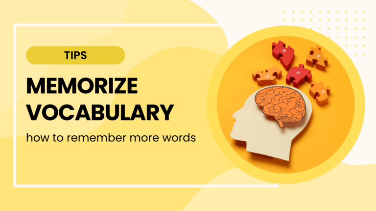 memorize vocabulary