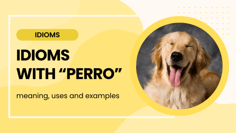 spanish idioms with perro